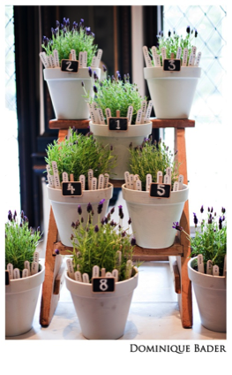 Plan De Table Theme Nature Alisonlaureenweddings